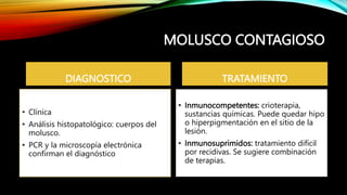 MOLUSCO CONTAGIOSO
DIAGNOSTICO
• Clínica
• Análisis histopatológico: cuerpos del
molusco.
• PCR y la microscopía electrónica
confirman el diagnóstico
TRATAMIENTO
• Inmunocompetentes: crioterapia,
sustancias químicas. Puede quedar hipo
o hiperpigmentación en el sitio de la
lesión.
• Inmunosuprimidos: tratamiento difícil
por recidivas. Se sugiere combinación
de terapias.
 