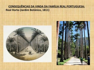 CONSEQUÊNCIAS DA VINDA DA FAMÍLIA REAL PORTUGUESA:
-Real Horto (Jardim Botânico, 1811)
 