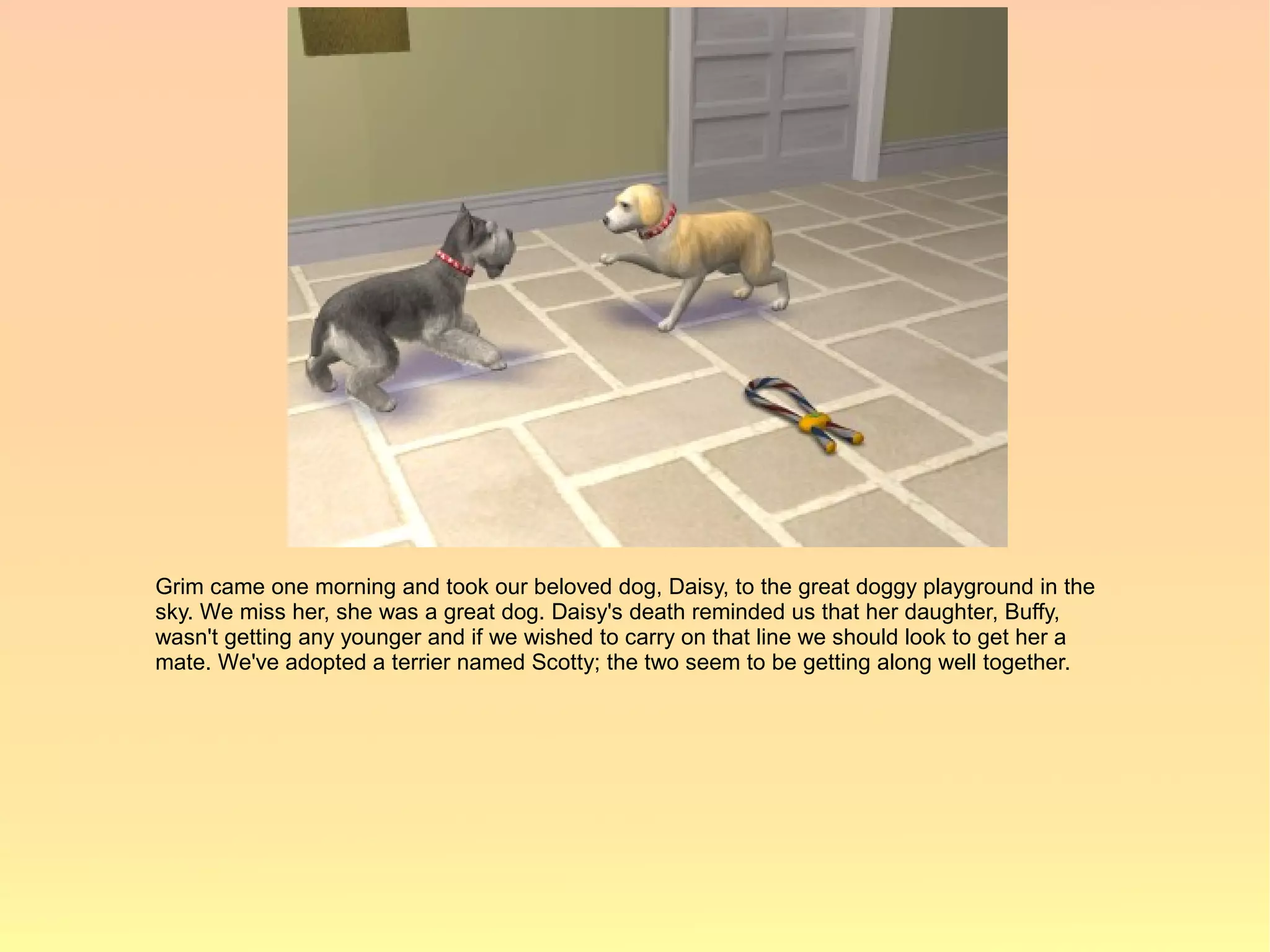 Grim came one morning and took our beloved dog, Daisy, to the great doggy playground in the
sky. We miss her, she was a great dog. Daisy's death reminded us that her daughter, Buffy,
wasn't getting any younger and if we wished to carry on that line we should look to get her a
mate. We've adopted a terrier named Scotty; the two seem to be getting along well together.
 