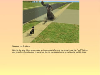 Noooooo not Snickers!

Word to the wise folks, never create an in game pet after one you know in real life. *sniff* Snicks
was one of my favorite dogs in game just like his namesake is one of my favorite real life dogs.
 