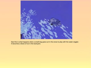 See this is what happens when a small dog goes out in the snow to play with the water wiggler.
It becomes a block of ice in the backyard.
 