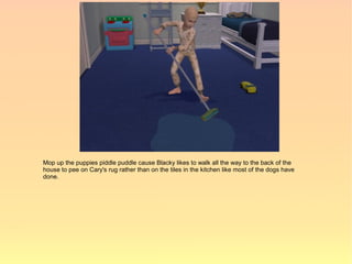 Mop up the puppies piddle puddle cause Blacky likes to walk all the way to the back of the
house to pee on Cary's rug rather than on the tiles in the kitchen like most of the dogs have
done.
 