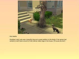 And deaths

Goodbye Lady! Lady was a beautiful dog and a great addition to the family. If her genes had
carried on we'd have a bunch of mild manner clean dogs in the house. Of course we don't.
 