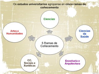 Os estudos universitarios agrúpanse en cinco ramas de
coñecemento
 
