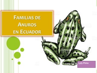 FAMILIAS DE
ANUROS
EN ECUADOR
Lyly Pinta
 