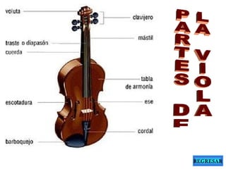 Familias de instrumentos