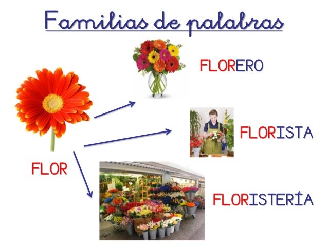librero familia de palabras familia de palabras librero familia de palabras familia de palabras