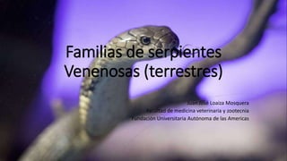 Familias de serpientes
Venenosas (terrestres)
Juan José Loaiza Mosquera
Facultad de medicina veterinaria y zootecnia
Fundación Universitaria Autónoma de las Americas
 