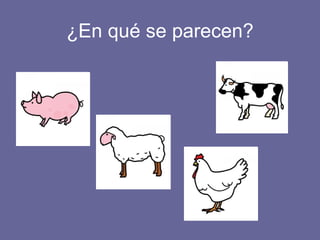 ¿En qué se parecen? 