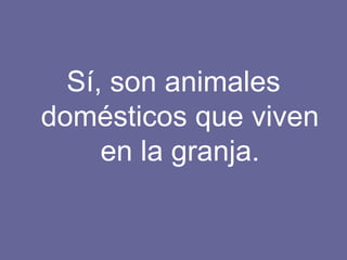 Sí, son animales domésticos que viven en la granja. 