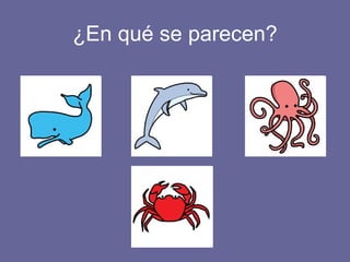 ¿En qué se parecen? 