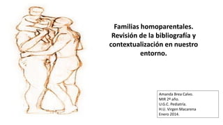 Familias homoparentales.
Revisión de la bibliografía y
contextualización en nuestro
entorno.

Amanda Brea Calvo.
MIR 2º año.
U.G.C. Pediatría.
H.U. Virgen Macarena
Enero 2014.

 