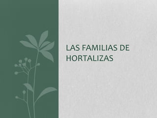 LAS FAMILIAS DE
HORTALIZAS
 