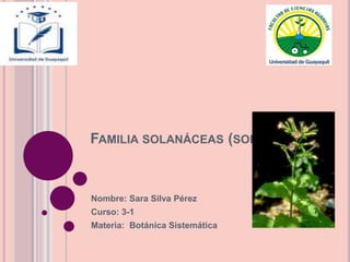 FAMILIA SOLANÁCEAS (SOLANACEAE)
Nombre: Sara Silva Pérez
Curso: 3-1
Materia: Botánica Sistemática
 