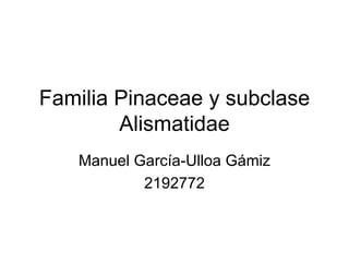 Familia Pinaceae y subclase
        Alismatidae
   Manuel García-Ulloa Gámiz
           2192772
 