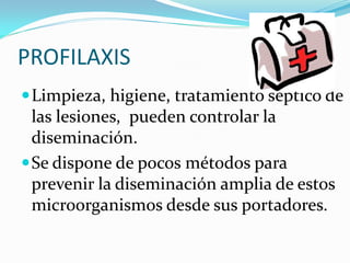 PROFILAXIS
 Limpieza, higiene, tratamiento septico de
  las lesiones, pueden controlar la
  diseminación.
 Se dispone de pocos métodos para
  prevenir la diseminación amplia de estos
  microorganismos desde sus portadores.
 
