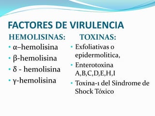 FACTORES DE VIRULENCIA
HEMOLISINAS:        TOXINAS:
• α–hemolisina   • Exfoliativas o
• β-hemolisina     epidermolitica,
                 • Enterotoxina
• δ - hemolisina
                   A,B,C,D,E,H,I
• γ-hemolisina   • Toxina-1 del Síndrome de
                    Shock Tóxico
 
