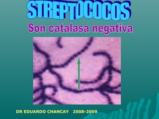 DR EDUARDO CHANCAY 2008-2009
 