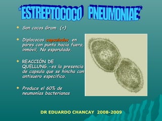  Son cocos Gram (+)Son cocos Gram (+)
 DiplococosDiplococos capsuladoscapsulados, en, en
pares con punta hacia fuera,pares con punta hacia fuera,
inmóvil, No esporulado.inmóvil, No esporulado.
 REACCIÓN DEREACCIÓN DE
QUELLUNG.-QUELLUNG.-es la presenciaes la presencia
de capsula que se hincha conde capsula que se hincha con
antisuero especifico.antisuero especifico.
 Produce el 60% deProduce el 60% de
neumonías bacterianasneumonías bacterianas
DR EDUARDO CHANCAY 2008-2009
 