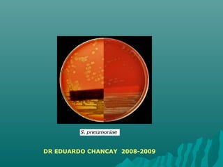 DR EDUARDO CHANCAY 2008-2009
 