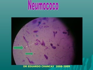 DR EDUARDO CHANCAY 2008-2009
 