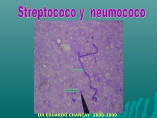 DR EDUARDO CHANCAY 2008-2009
 