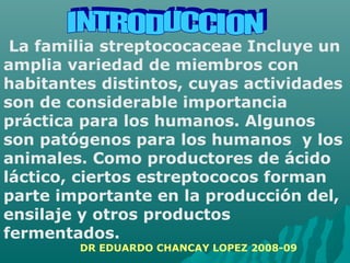 La familia streptococaceae Incluye un
amplia variedad de miembros con
habitantes distintos, cuyas actividades
son de considerable importancia
práctica para los humanos. Algunos
son patógenos para los humanos y los
animales. Como productores de ácido
láctico, ciertos estreptococos forman
parte importante en la producción del,
ensilaje y otros productos
fermentados.
DR EDUARDO CHANCAY LOPEZ 2008-09
 