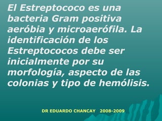 El Estreptococo es una
bacteria Gram positiva
aeróbia y microaerófila. La
identificación de los
Estreptococos debe ser
inicialmente por su
morfología, aspecto de las
colonias y tipo de hemólisis.
DR EDUARDO CHANCAY 2008-2009
 