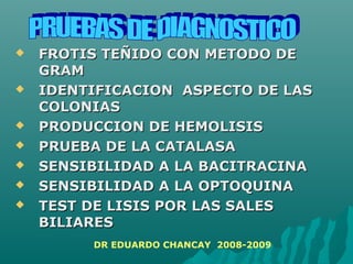  FROTIS TEÑIDO CON METODO DEFROTIS TEÑIDO CON METODO DE
GRAMGRAM
 IDENTIFICACION ASPECTO DE LASIDENTIFICACION ASPECTO DE LAS
COLONIASCOLONIAS
 PRODUCCION DE HEMOLISISPRODUCCION DE HEMOLISIS
 PRUEBA DE LA CATALASAPRUEBA DE LA CATALASA
 SENSIBILIDAD A LA BACITRACINASENSIBILIDAD A LA BACITRACINA
 SENSIBILIDAD A LA OPTOQUINASENSIBILIDAD A LA OPTOQUINA
 TEST DE LISIS POR LAS SALESTEST DE LISIS POR LAS SALES
BILIARESBILIARES
DR EDUARDO CHANCAY 2008-2009
 