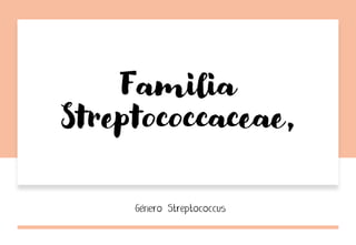 Familia
Streptococcaceae,
 
