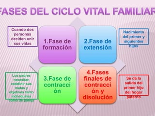 1.Fase de
formación
2.Fase de
extensión
3.Fase de
contracci
ón
4.Fases
finales de
contracci
ón y
disolución
Cuando dos
personas
deciden unir
sus vidas
Nacimiento
del primer y
siguientes
hijos
Los padres
necesitan
redefinir sus
metas y
objetivos tanto
individuales
como de pareja
Se da la
salida del
primer hijo
del hogar
paterno
 