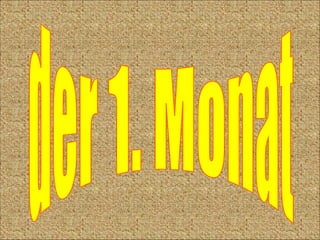 der 1. Monat 