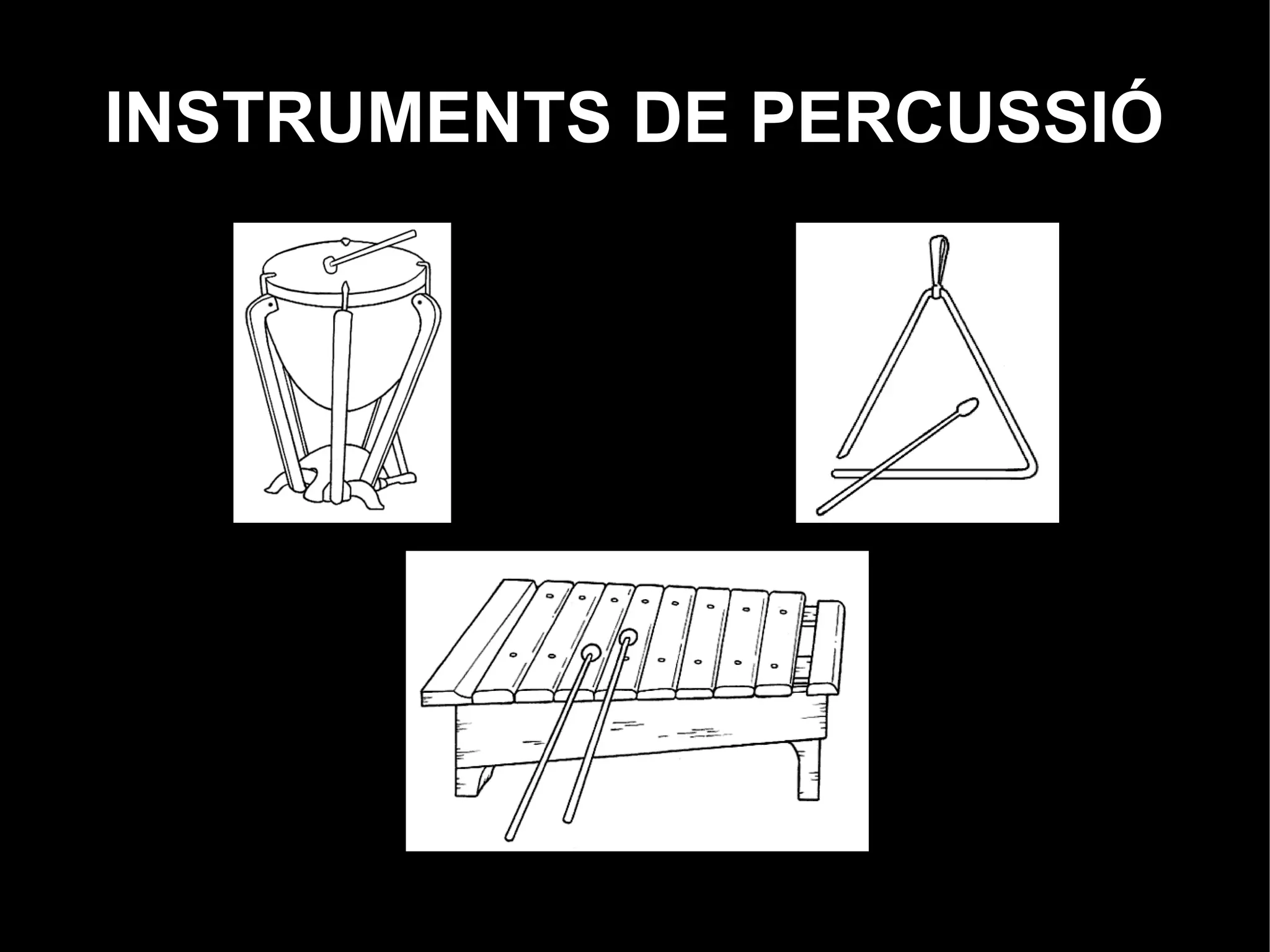 INSTRUMENTS DE PERCUSSIÓ
 