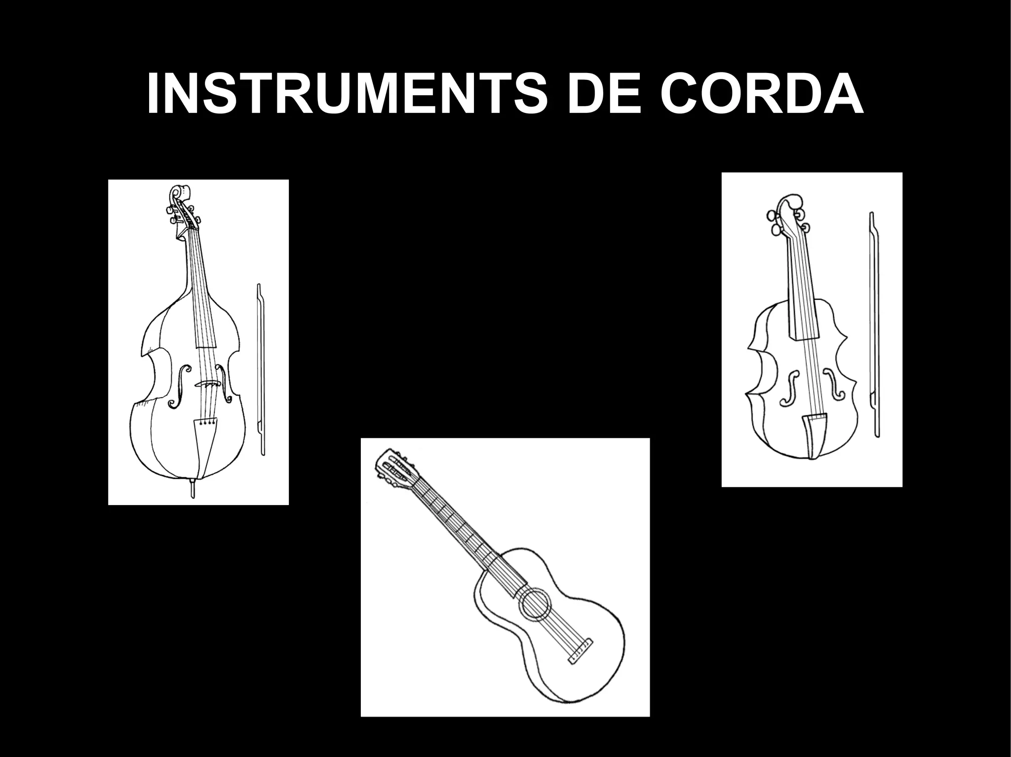 INSTRUMENTS DE CORDA
 