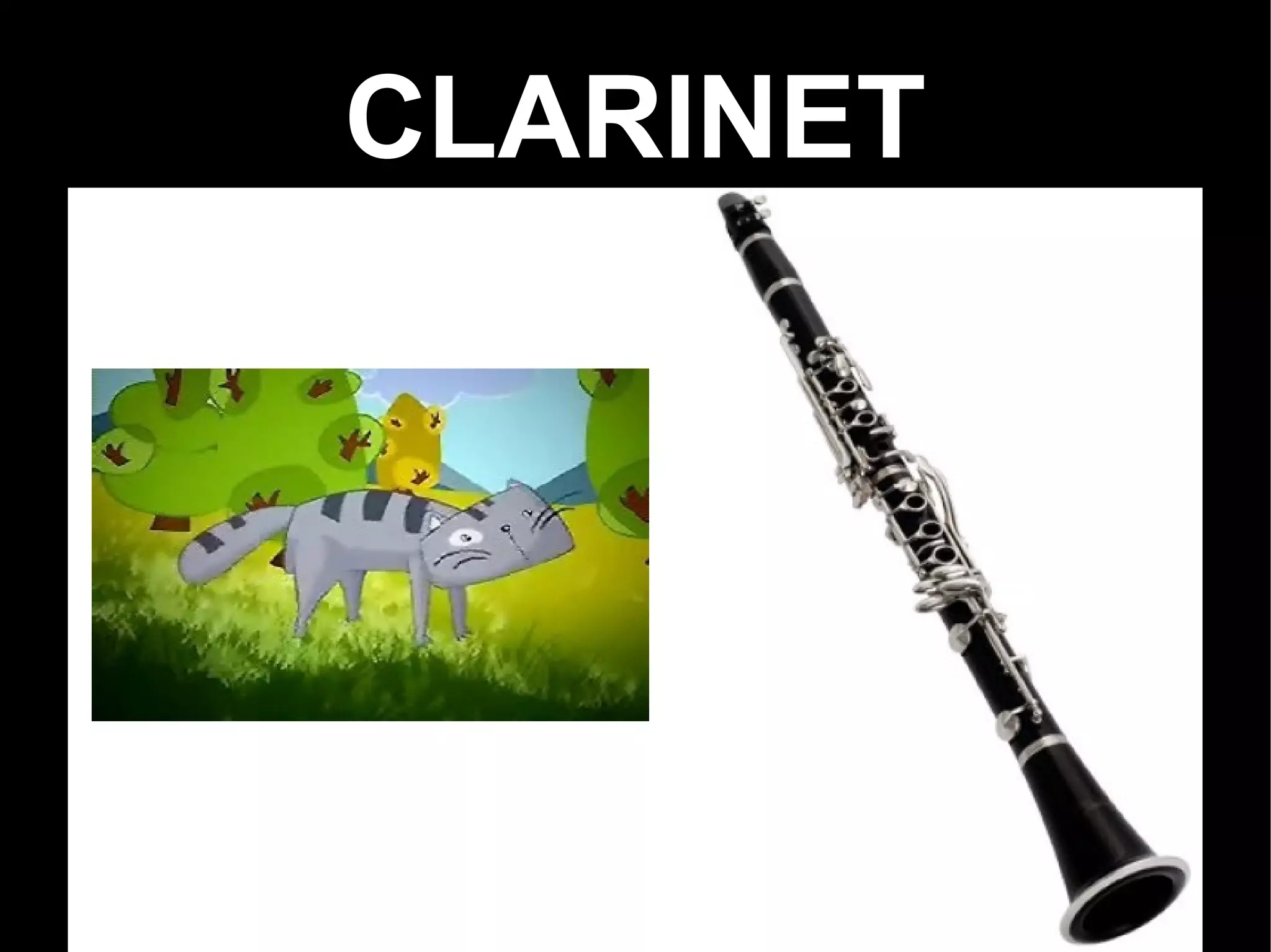 CLARINET
 