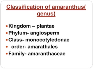 Classification of amaranthus(
genus)
Kingdom – plantae
Phylum- angiosperm
Class- monocotyledonae
 order- amarathales
Family- amaranthaceae
 