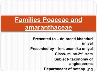 Presented to – dr. preeti khanduri
uniyal
Presented by – km. anamika uniyal
Class- m. sc.2nd sem
Subject- taxonomy of
angiosperms
Departmeent of botany ,pg
Families Poaceae and
amaranthaceae
 
