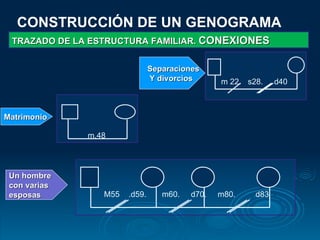 CONSTRUCCIÓN DE UN GENOGRAMA TRAZADO DE LA ESTRUCTURA FAMILIAR.  CONEXIONES Matrimonio   Un hombre  con varias esposas Separaciones Y divorcios   m.48 m 22.  s28.  d40 M55  .d59.  m60.  d70.  m80.  d83 