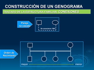 CONSTRUCCIÓN DE UN GENOGRAMA TRAZADO DE LA ESTRUCTURA FAMILIAR.  CONEXIONES Pareja  no casada   Orden de Nacimiento Se conocieron 1981 mayor menor 
