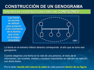 CONSTRUCCIÓN DE UN GENOGRAMA TRAZADO DE LA ESTRUCTURA FAMILIAR.  CONEXIONES Las líneas  de puntos se utilizan  para encerrar a los miembros de la familia  que viven  en el hogar  inmediato. La fecha en el extremo inferior derecho corresponde  al año que se tomo ese genograma. Cuando elegimos una fecha en la vida de una persona, el resto de la información, las muertes, edades y sucesos importantes se calculan en relación con dicha fecha. Por lo tanto   resulta útil colocar la edad   de cada persona  dentro de su figura 1981 