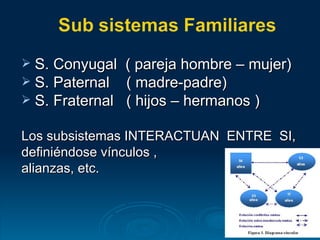 S. Conyugal  ( pareja hombre – mujer) S. Paternal  ( madre-padre) S. Fraternal  ( hijos – hermanos ) Los subsistemas INTERACTUAN  ENTRE  SI, definiéndose vínculos ,  alianzas, etc. 