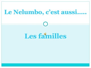 Le Nelumbo, c’est aussi….. Les familles 