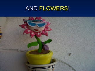 AND  FLOWERS ! 