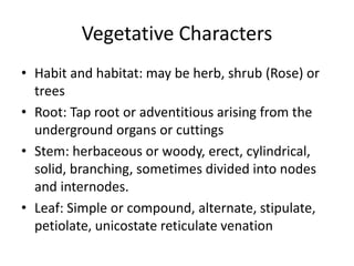Vegetative Characters
• Habit and habitat: may be herb, shrub (Rose) or
trees
• Root: Tap root or adventitious arising from the
underground organs or cuttings
• Stem: herbaceous or woody, erect, cylindrical,
solid, branching, sometimes divided into nodes
and internodes.
• Leaf: Simple or compound, alternate, stipulate,
petiolate, unicostate reticulate venation
 