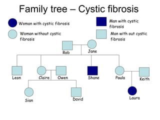 Family tree – Cystic fibrosis Rob David Shane Paula Jane Laura Keith Leon Owen Claire Sian Man with out cystic fibrosis Man with cystic fibrosis Woman without cystic fibrosis Woman with cystic fibrosis 