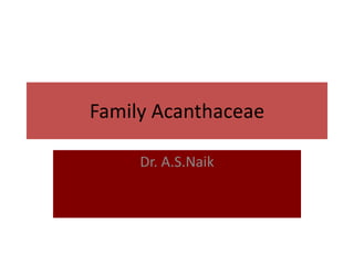 Family Acanthaceae
Dr. A.S.Naik
 