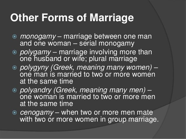 What Is Meant By Serial Monogamy In Sociology
