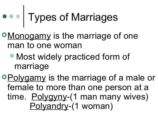 serial monogamy definition sociology serial monogamy definition sociology
