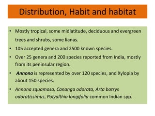 Distribution, Habit and habitat
• Mostly tropical, some midlatitude, deciduous and evergreen
trees and shrubs, some lianas.
• 105 accepted genera and 2500 known species.
• Over 25 genera and 200 species reported from India, mostly
from its peninsular region.
• Annona is represented by over 120 species, and Xylopia by
about 150 species.
• Annona squamosa, Cananga odorata, Arta botrys
odoratissimus, Polyalthia longifolia common Indian spp.
 