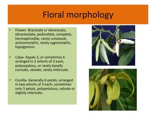 Floral morphology
• Flower- Bracteate or ebracteate,
ebracteolate, pedicellate, complete,
hermaphrodite, rarely unisexual,
actinomorphic, rarely zygomorphic,
hypogynous.
• Calyx- Sepals 3, or sometimes 6
arranged in 2 whorls of 3 each,
polysepalous, or rarely basally
connate, valvate, rarely imbricate.
• Corolla- Generally 6 petals, arranged
in two whorls of 3 each, sometimes
only 3 petals, polypetalous, valvate or
slightly imbricate.
 